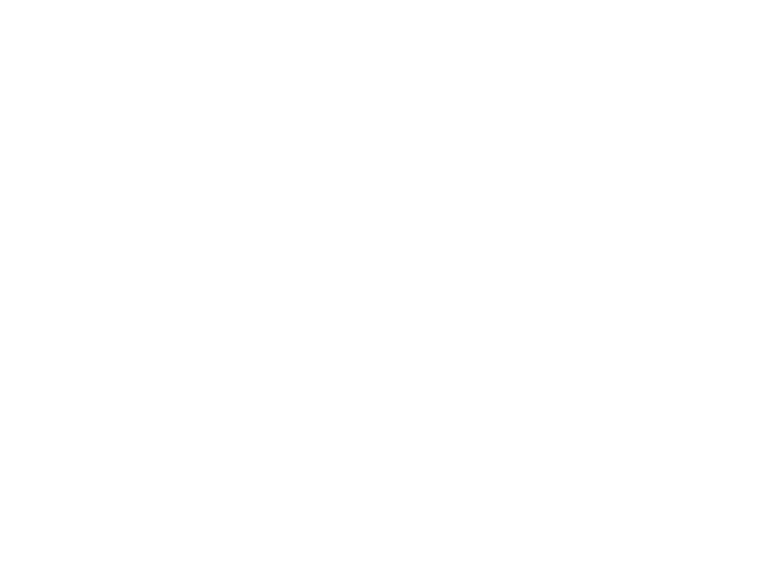 Paradise Jacó